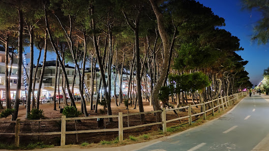 La Pineta Unnamed Road, 64011 Alba Adriatica TE, Italia