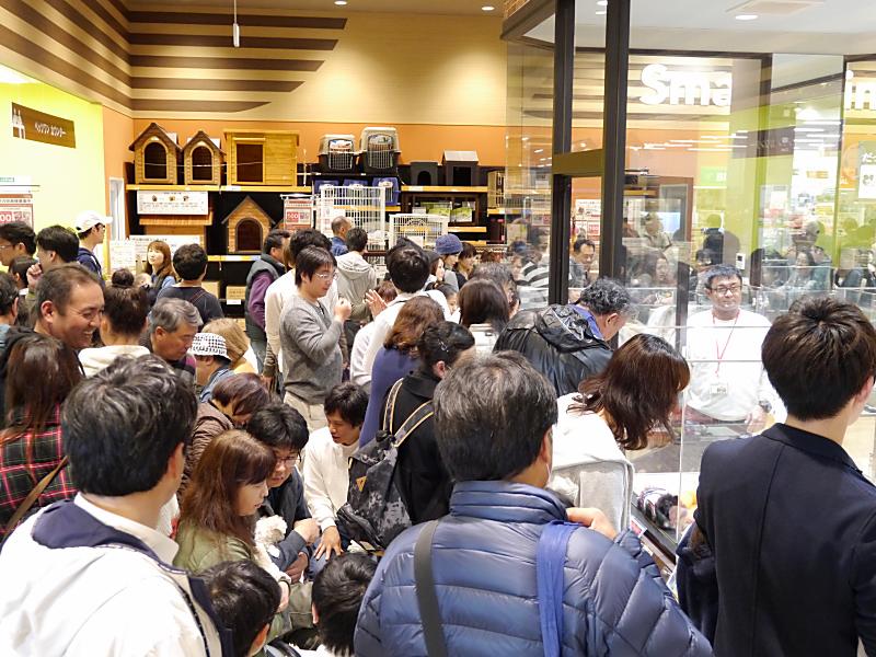 ペットショップ ワンラブ カインズ福岡新宮店 福岡県新宮町中央駅前 ペットショップ ペット グルコミ