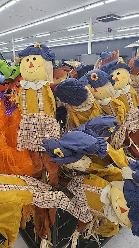 Discount Store «Big Lots», reviews and photos, 35884 US-27, Haines City, FL 33844, USA