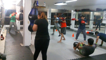 BRAXTON FIGHT GYM