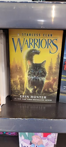 Book Store «Books-A-Million», reviews and photos, 1250 Baltimore Pike L31A, Springfield, PA 19064, USA