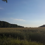 Photo n°1 de l'avis de Steve.a fait le 06/06/2017 à 15:28 sur le  Hotel Restaurant Café Wahlde à Neuenkirchen-Vörden