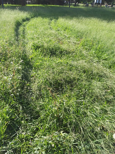 Park «Olympic Park», reviews and photos, 8601 SW 152nd Ave, Miami, FL 33193, USA