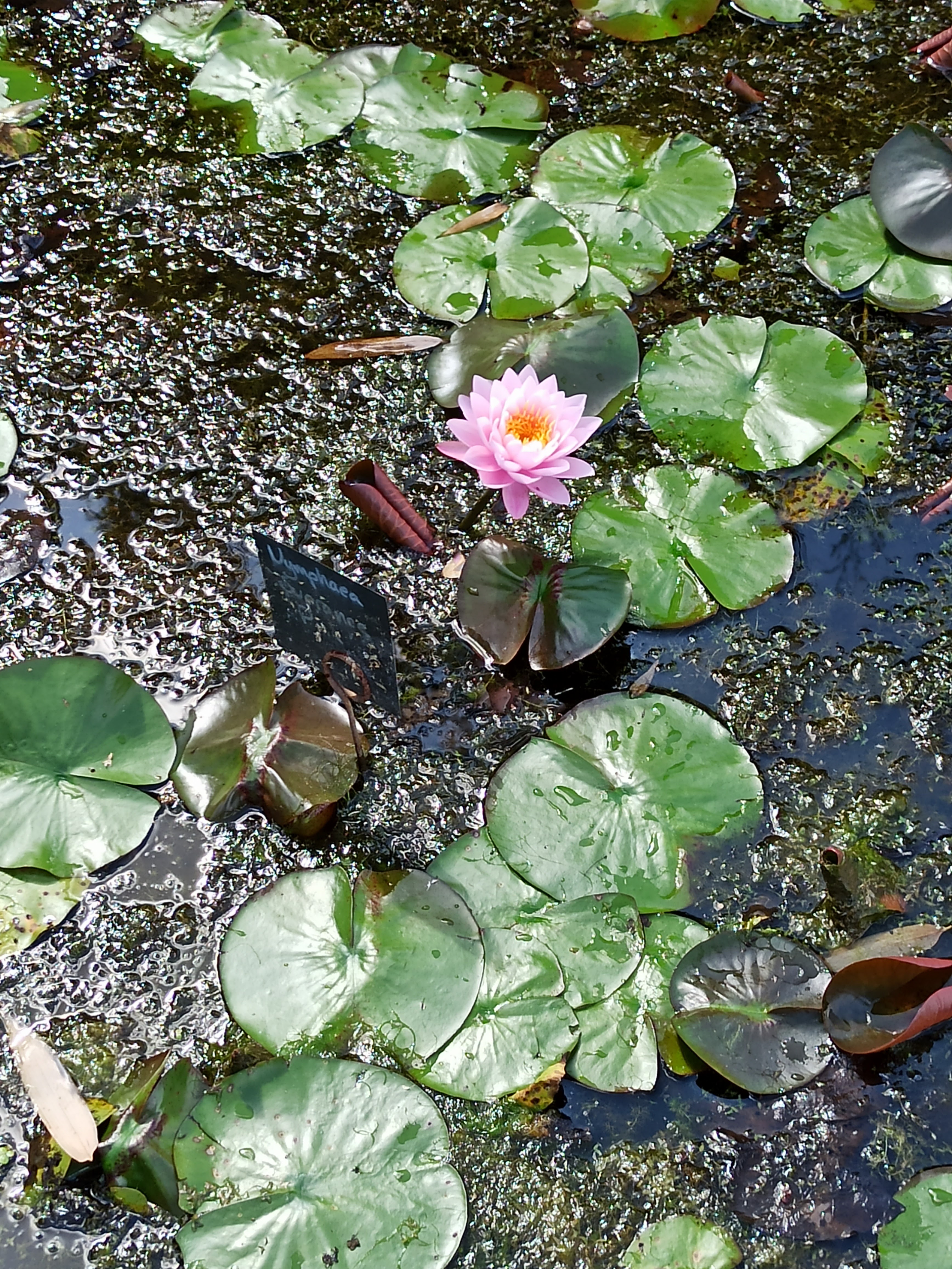 Photo n° 5 de l'avis de Dd.o fait le 22/09/2020 à 13:32