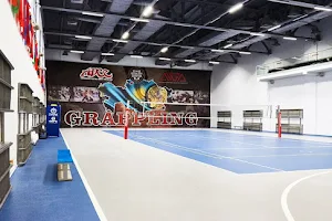 Arlan Grip Arena image