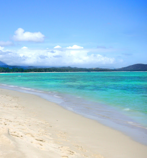 Cruise Agency «Sun Travel Inc», reviews and photos, 4420 N Mesa St, El Paso, TX 79902, USA