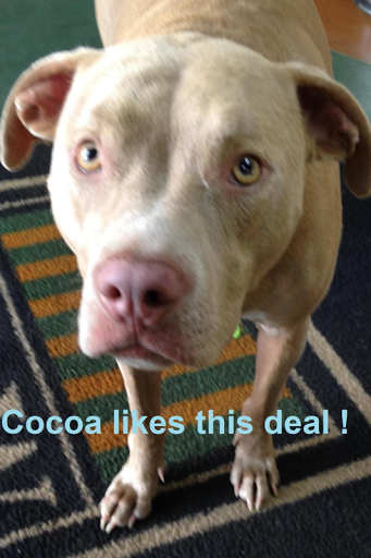 Auto Repair Shop «Law Auto Sales», reviews and photos, 32115 Michigan Ave, Wayne, MI 48184, USA