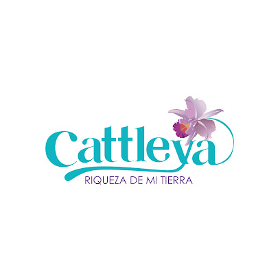 Cattleya, riqueza de mi tierra
