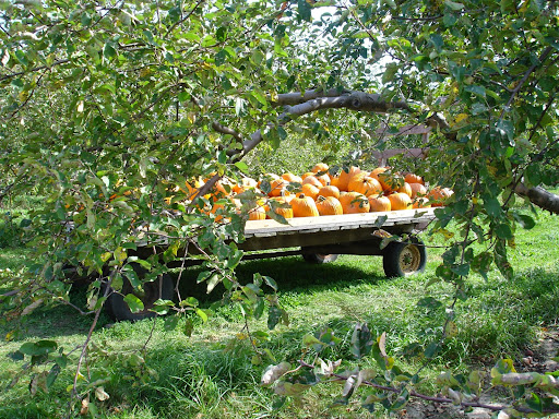 Winery «Apple Barn Orchard & Winery», reviews and photos, W6384 Sugar Creek Rd, Elkhorn, WI 53121, USA