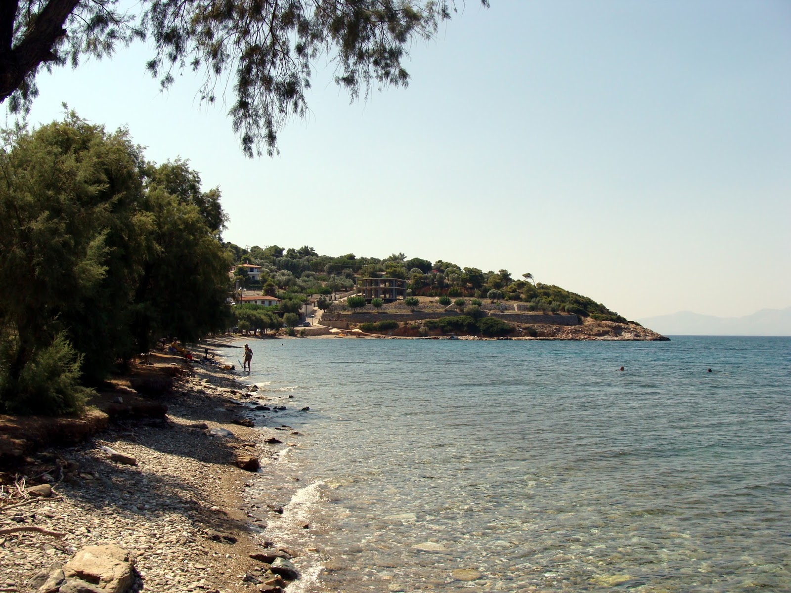 Fotografija Sesi beach divje območje