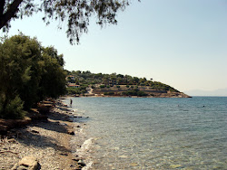 Sesi beach'in fotoğrafı doğal alan içinde bulunmaktadır
