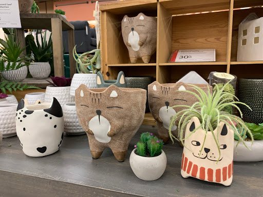 Furniture Store «Cost Plus World Market», reviews and photos, 1725 Maple Ave, Evanston, IL 60201, USA