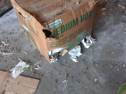 Storage Facility «Extra Space Storage», reviews and photos, 3937 Santa Rosa Ave, Santa Rosa, CA 95407, USA