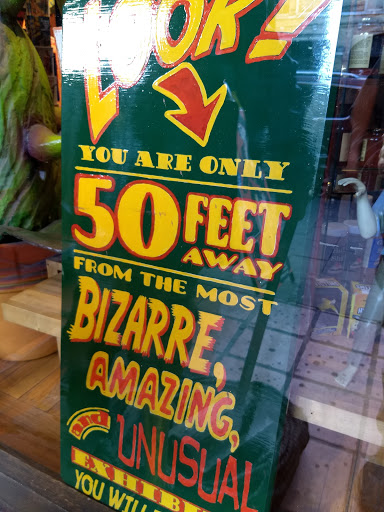 Gift Shop «Lucky Lizard Curios & Gifts», reviews and photos, 412 E 6th St, Austin, TX 78701, USA