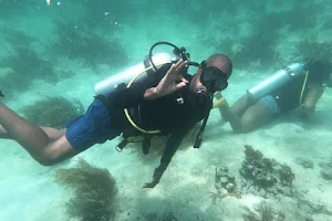 Bocas Tec Diving image