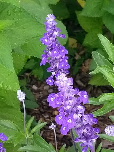 Park «Bear Creek Park», reviews and photos, 3550 S Raleigh St, Denver, CO 80236, USA