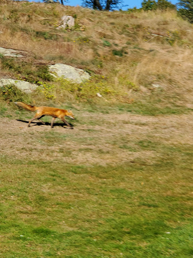 Golf Club «Beverly Golf & Tennis Club», reviews and photos, 134 McKay Street, Beverly, MA 01915, USA