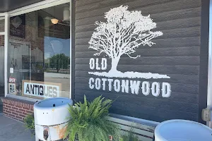 Old Cottonwood image