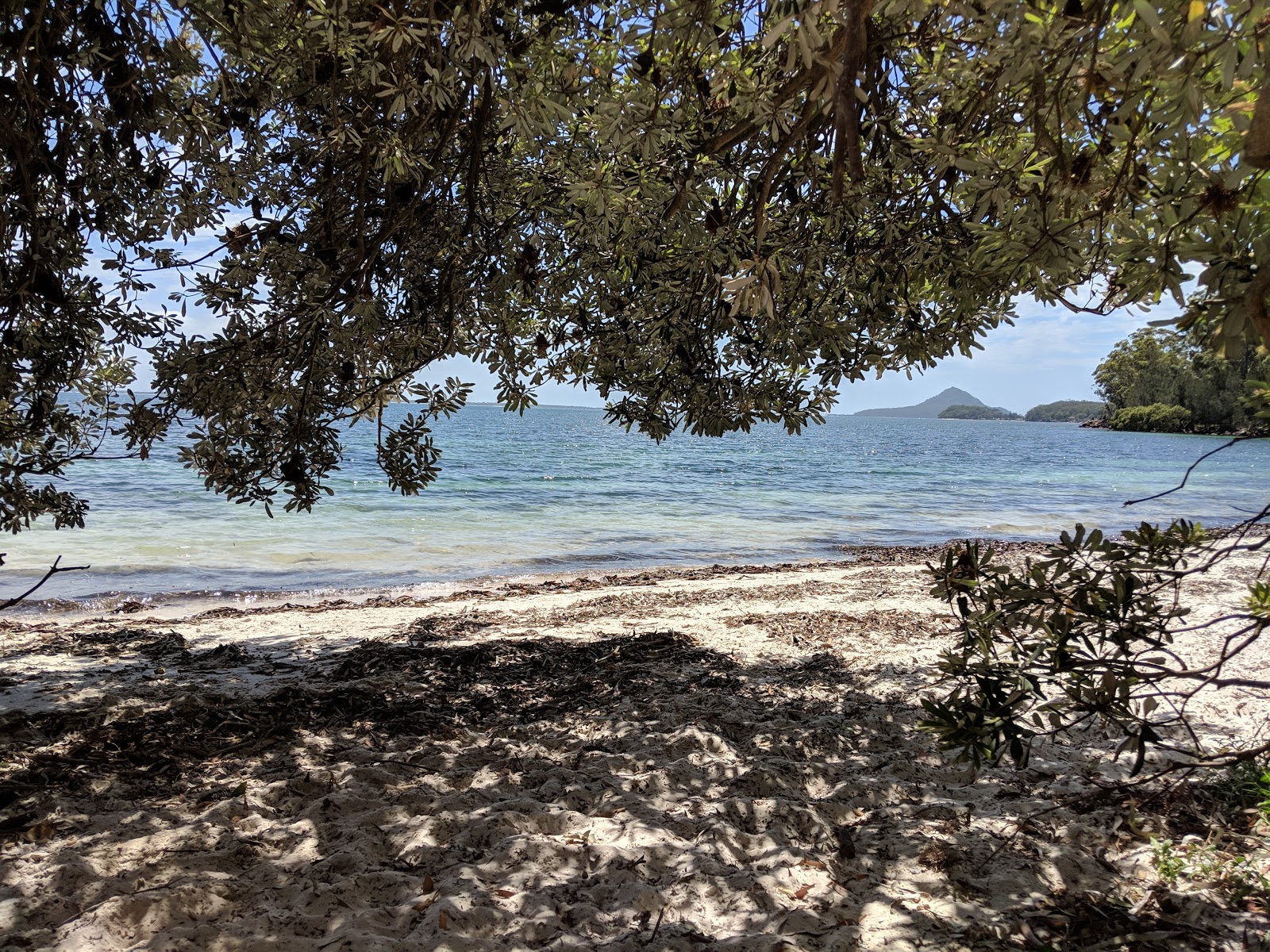Bagnalls Beach photo #8