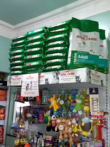 Clínica Veterinária Quatro Patas - Veterinário