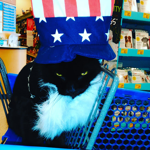 Pet Supply Store «Petco Animal Supplies», reviews and photos, 1660 Orchard Gateway Blvd, North Aurora, IL 60542, USA