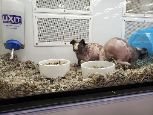 Pet Supply Store «Petco Animal Supplies», reviews and photos, 3525 W Victory Blvd, Burbank, CA 91505, USA