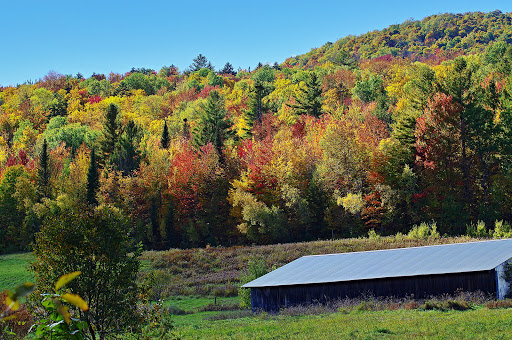 General Store «Falls General Store», reviews and photos, 7 Cox Brook Rd, Northfield, VT 05663, USA