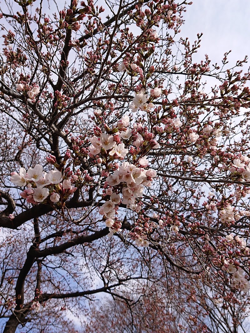 前橋問屋町公園