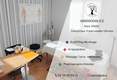 Harmodalice・Alice TORRE・Energétique Traditionnelle Chinoise à Meylan
