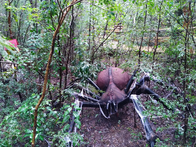 Bosque Encantado Pucón - Museo