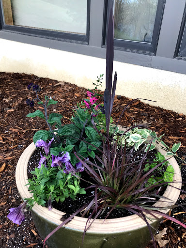 Gift Shop «Squire House Gardens», reviews and photos, 3390 St Croix Trail S, Afton, MN 55001, USA