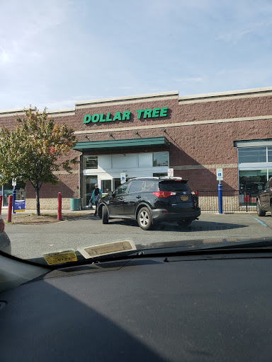 Dollar Store «Dollar Tree», reviews and photos, 806 Pelham Pkwy #4, Pelham, NY 10803, USA