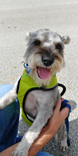 Pet Store «Woof Gang Bakery & Grooming Palm Beach Gardens», reviews and photos, 6231 PGA Boulevard #114, Palm Beach Gardens, FL 33418, USA