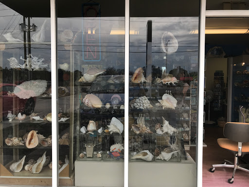 Gift Shop «The Shell Store», reviews and photos, 8211 Ulmerton Rd, Largo, FL 33771, USA
