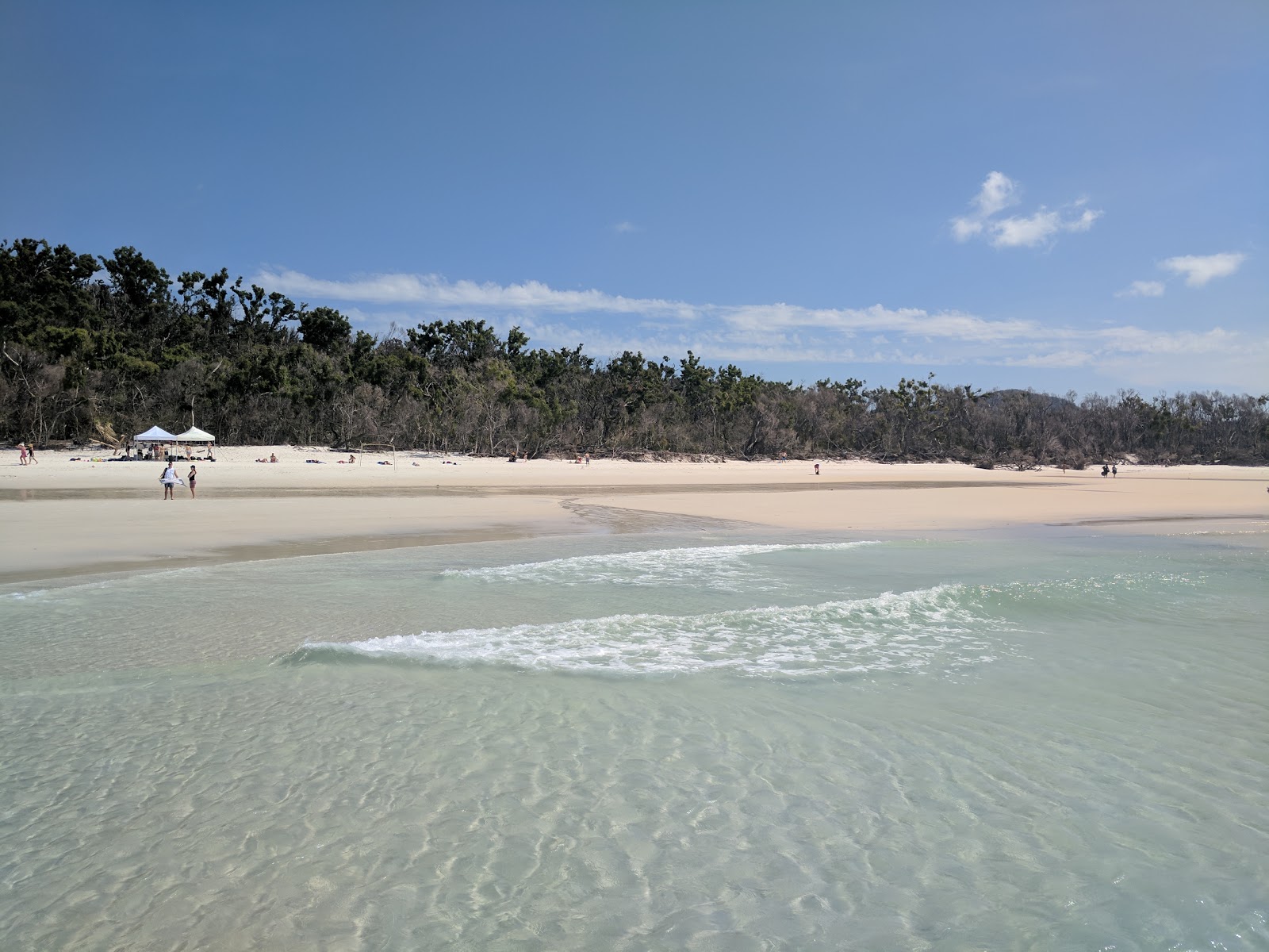 Zdjęcie Plaża Whitehaven - popularne miejsce wśród znawców relaksu