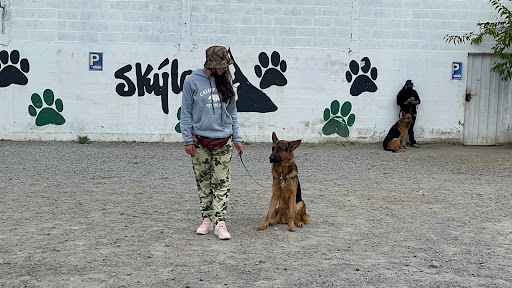 SKYLOS K9 S.A CENTRO DE FORMACION Y ADIESTRAMIENTO CANINO