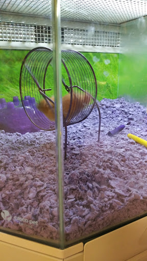 Pet Supply Store «PetSmart», reviews and photos, 5200 W Main St, Kalamazoo, MI 49009, USA