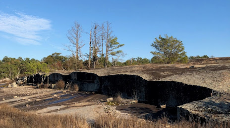 Professional Mold Removal Services Stonecrest, GA - Moldstar Remediation