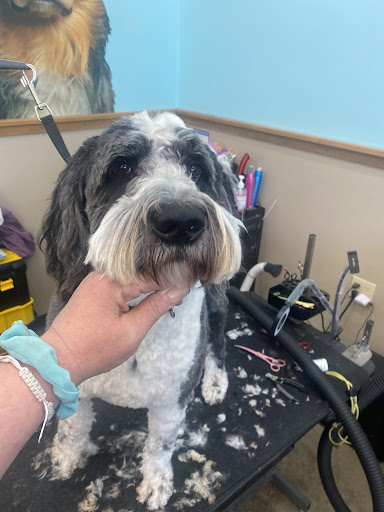 Pet Supply Store «Pet Supplies Plus», reviews and photos, 135-25 79th St, Howard Beach, NY 11414, USA