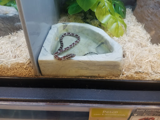 Pet Supply Store «Petco Animal Supplies», reviews and photos, 195 E 12300 S, Draper, UT 84020, USA