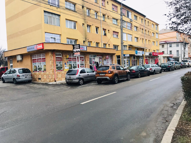 Strada Vasile Goldiș nr 17, Alba Iulia 510213, România