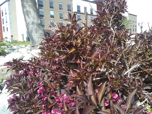 Market «Pybus Public Market», reviews and photos, 3 N Worthen St, Wenatchee, WA 98801, USA