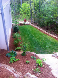 Wise Choice Lawn Care & Landscaping - Photo 4 - Car repair in Candler, NC, Asheville