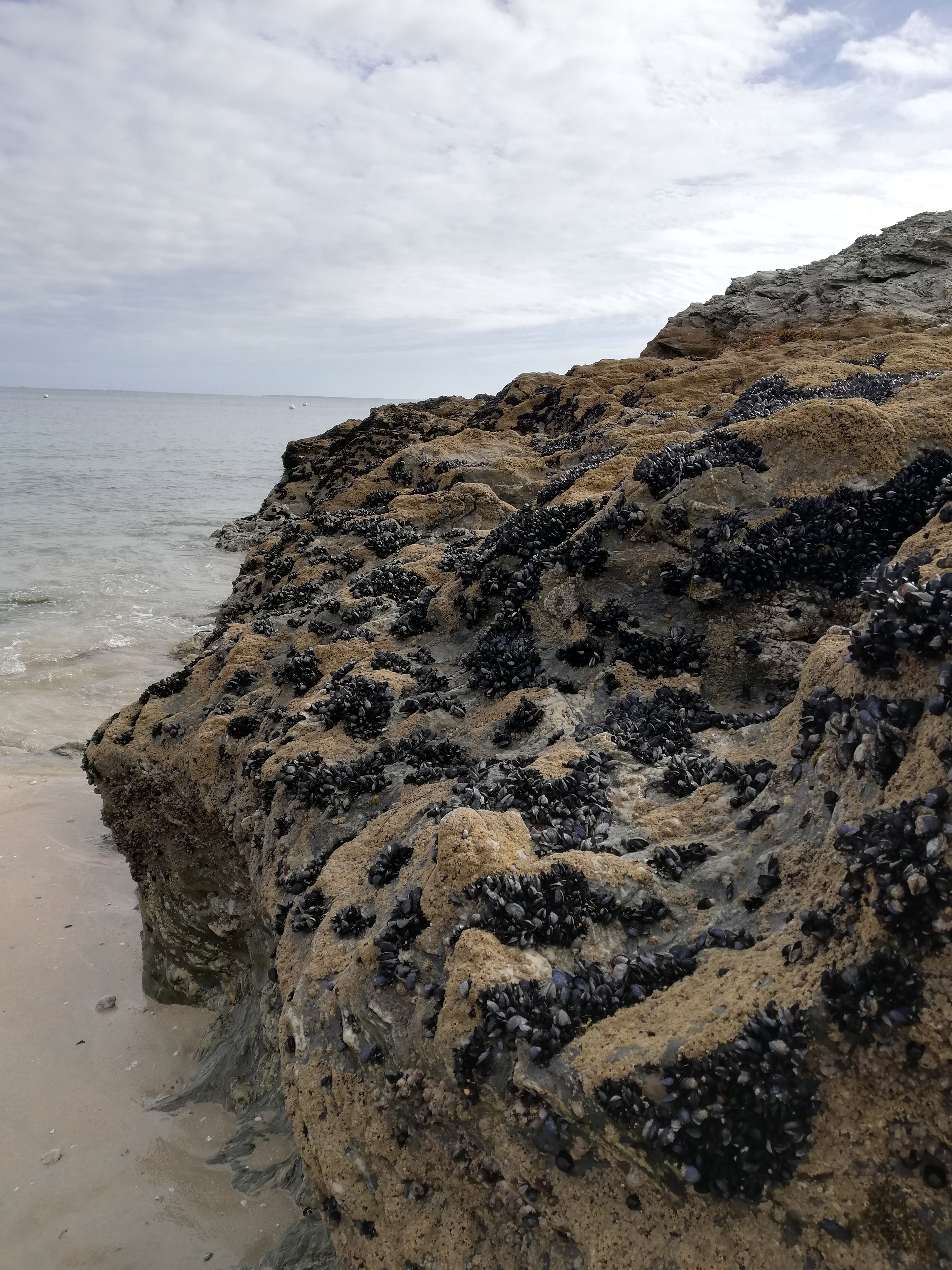 Photo n° 2 de l'avis de Bernard.o fait le 11/09/2019 à 15:56
