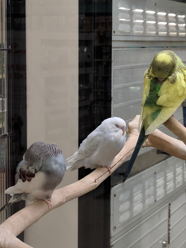 Pet Supply Store «PetSmart», reviews and photos, 21 Trader Ln, Williston, VT 05495, USA