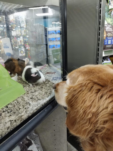 Pet Supply Store «Petco Animal Supplies», reviews and photos, 475 S Wadsworth Blvd, Lakewood, CO 80226, USA