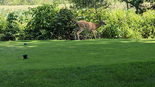 Golf Driving Range «Patriot Golf Course», reviews and photos, 200 Springs Rd, Bedford, MA 01730, USA