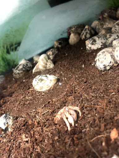 Pet Supply Store «Petsense Fort Worth», reviews and photos, 1408 Eastchase Pkwy #100, Fort Worth, TX 76120, USA