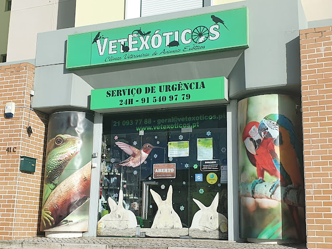 vetexoticos.pt