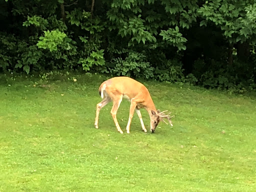 Golf Club «Mystic Creek Golf Course and Banquet Center», reviews and photos, 1 Champions Circle, Milford, MI 48380, USA